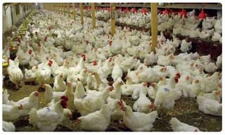 అక్షయ్‌ కుమార్ కుటుంబంలో విషాదం.. నటుడు మృతి!