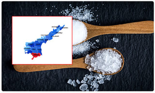 కుక్కను కాపాడలేదంటూ పశువైద్యురాలిపై దాడి