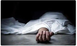 మిల‌మిల‌ మెరిసే మంచు ఖండం.. ఇప్పుడు ఆకుపచ్చగా..