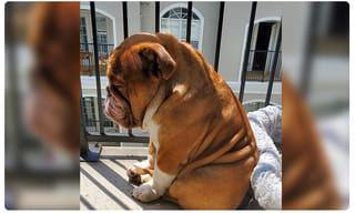 బట్టల వ్యాపారికి కరోనా.. మర్కజ్‌ వెళ్లి వచ్చినట్లు గుర్తింపు..