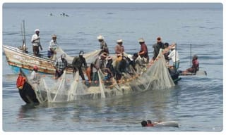 టీ స‌ర్కార్ స్వీట్‌న్యూస్‌..మామిడి ప్రియుల‌కు మ‌స్తీ