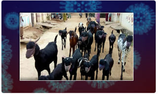 కరోనా క‌మ్మేసింది.. భారత్‌లో 40కోట్ల మంది పేదరికంలోకి