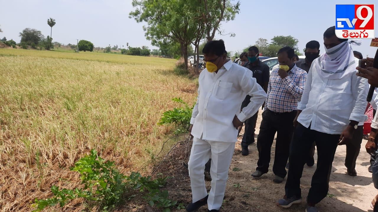 ధాన్యం కొనుగోలు కేంద్రాలను ప్రారంభించిన మంత్రి నిరంజన్ రెడ్డి