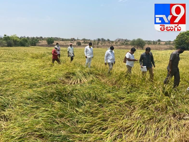 ధాన్యం కొనుగోలు కేంద్రాలను ప్రారంభించిన మంత్రి నిరంజన్ రెడ్డి