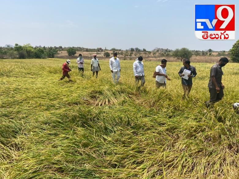 ధాన్యం కొనుగోలు కేంద్రాలను ప్రారంభించిన మంత్రి నిరంజన్ రెడ్డి