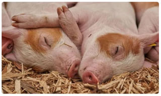 ఎంతపెద్ద మ‌న‌స‌య్యా నీది…మ‌రోసారి లారెన్స్ ఆర్థిక‌సాయం..