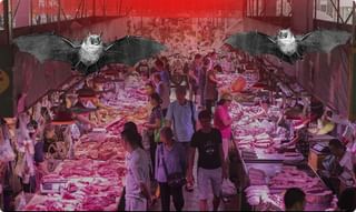 Harish Rao warns ముందుంది ముసళ్ళ పండగ… హరీశ్ వార్నింగ్ ఎవరికి?