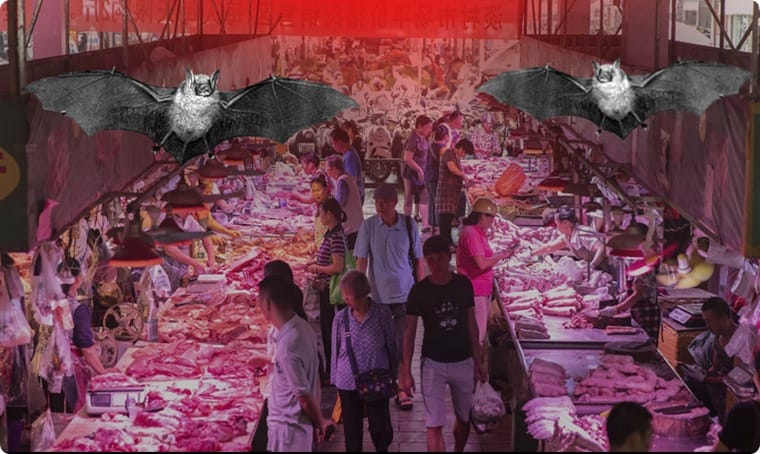 తీరు మారని చైనా.. ఇంకా అవే తింటున్నారు !