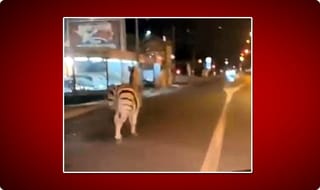 లాక్‌డౌన్‌ 2.0: మోదీపై ప్రపంచ ఆరోగ్య సంస్థ ప్రశంసలు