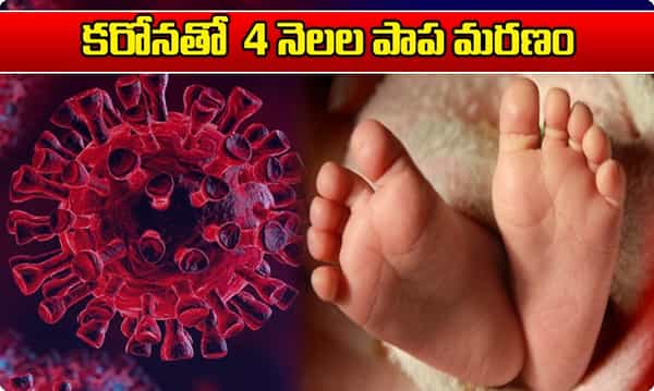 Sad News కరోనాతో 4 నెలల పసిపాప మృతి