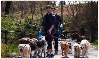 కరోనా మహమ్మారిపై.. మోదీ ప్రభుత్వ చర్యలకు భారీ మద్దతు..