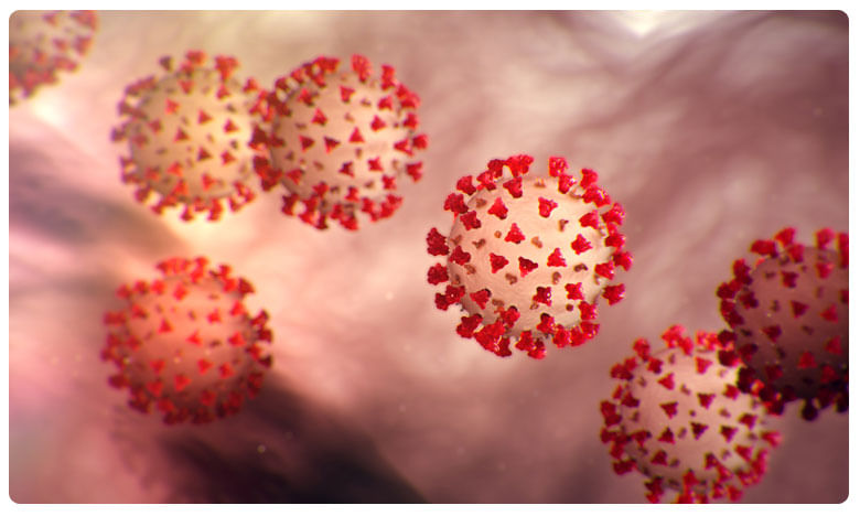 Coronavirus: భారత్‌లో ఎక్కువవుతోన్న ఎసింప్టమేటిక్ కేసులు..!