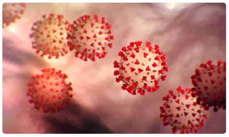 Coronavirus: భారత్‌లో ఎక్కువవుతోన్న ఎసింప్టమేటిక్ కేసులు..!
