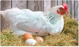 పాక్‌లో టెన్షన్‌ టెన్షన్.. వైద్యులను కాటేస్తున్న కరోనా.. ఇప్పటికే..