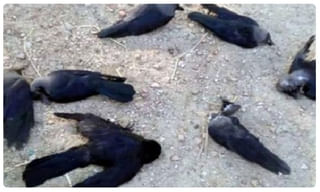 మహారాష్ట్రలో కరోనా కల్లోలం.. దేశంలో నమోదైన కేసులు ఎన్నంటే…