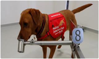 విషాదం.. 12 మంది గ్యాస్ బాధితుల్ని కాటేసిన కరోనా..