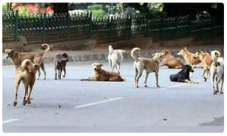 ఆ డాక్టర్.. కారునే తాత్కాలిక గృహంగా..