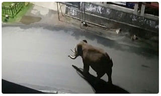 సీఎం గారూ.. మద్యం షాపులు తెరవండి ప్లీజ్.. ఆదాయం వస్తుంది..