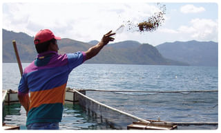 దేశంలో కరోనా కేసుల తాజా వివరాలు ఇవే..