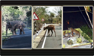 కరోనా కల్లోలం.. అమెరికాలో ఒక్క రోజులోనే 1,940 మంది మృతి..