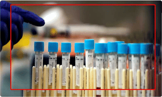 Breaking: లాక్‌డౌన్‌ పొడిగించిన ఒడిశా.. ఎప్పటి వరకు అంటే..!