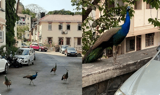 కరోనాపై ముఖ్యమంత్రులతో మోదీ వీడియో కాన్ఫరెన్స్…నివారణే లక్ష్యం