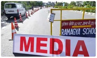 మామిడి చెట్టు ఎక్కిన మంచువారమ్మాయి