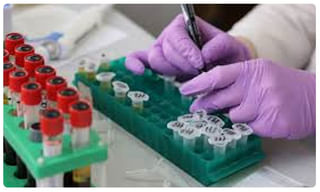 బ్రేకింగ్: రష్యా ప్రధానికి కరోనా పాజిటివ్..