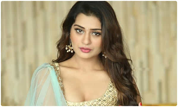 వెబ్సిరీస్ ఎంట్రీకి పాయల్ గ్రీన్ సిగ్నల్..!