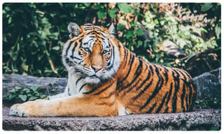 పవన్‌ కళ్యాణ్ ఫ్యాన్స్‌ని టార్గెట్‌ చేసిన క్రిష్