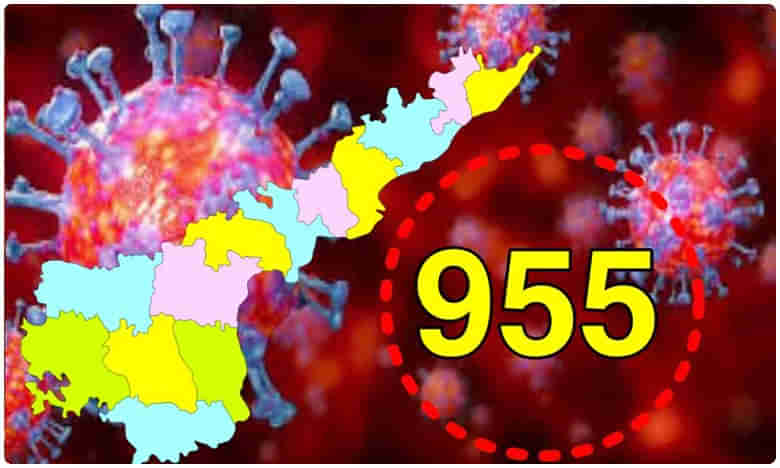 తెలుగు రాష్ట్రాల్లో ఉధృతంగా విజృంభిస్తోన్న కరోనా.. ఏపీలో ఏకంగా..
