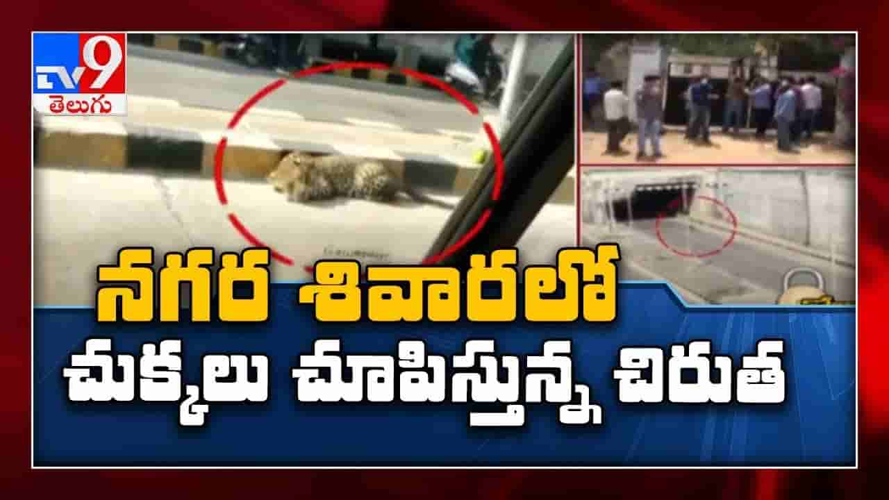 హైదరాబాద్‌లో చిరుత పులుల కలకలం.. భయాందోళనలో ప్రజలు