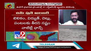 గుర్రం యాంటీ బాడీస్ తో Corona vaccine కనిపెట్టవచ్చా…?