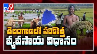 మేకను ఎరవేసిన అధికారులు