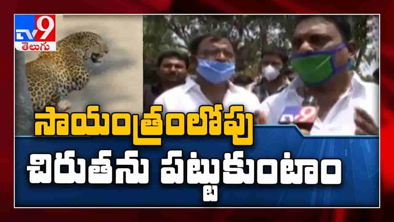 మేకను ఎరవేసిన అధికారులు