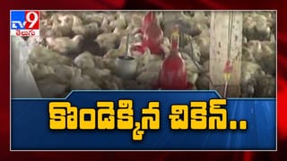 మేకను ఎరవేసిన అధికారులు