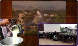 టాలీవుడ్‌లో అకిరా ఫేవరెట్ హీరో అతనే: రేణు