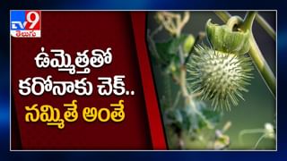 మహిళలకు fitness challenge విసిరిన MLA Roja