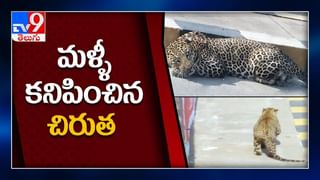 సీఎం జగన్ చిత్రపటం చుట్టూ పొర్లు దండాలు.. క్యాబ్ డ్రైవర్ల వింత నిరసన..!