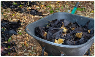 మందుబాబులకు గుడ్ న్యూస్.. ఇకపై వాటికి చెక్ పడినట్లే!