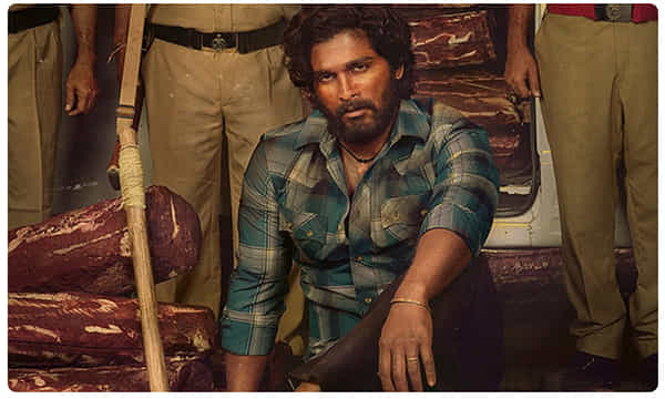 పుష్ప కోసం బన్నీ మరో కీలక నిర్ణయం..!