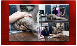 ఏపీ ప్రజలకు ‘కూల్’ న్యూస్.. 3 రోజుల పాటు వర్షాలు..!