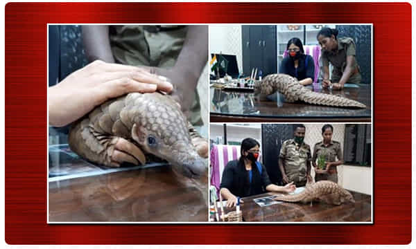 క్వారంటైన్ లో అలుగు.. కరోనా పరీక్షలు చేయనున్న వైద్యులు !