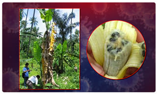 కరోనా కట్టడికి భౌతిక దూరమే శ్రీరామ రక్ష..!