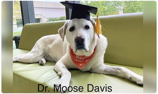 వాళ్లే నా బలం..: సీఎం జగన్‌