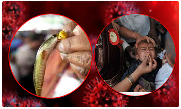 చేపమందును వదలని కరోనా