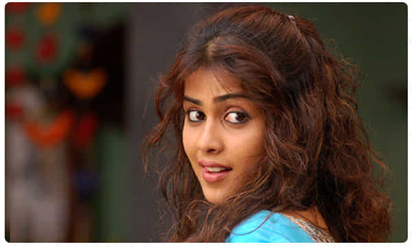 హాసినీ రీ ఎంట్రీ.. ఆ ఇద్దరి బడా హీరోలతో!