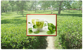 కరోనా.. ఢిల్లీ ఎయిమ్స్ లో సీనియర్ డాక్టర్ పాండే మృతి