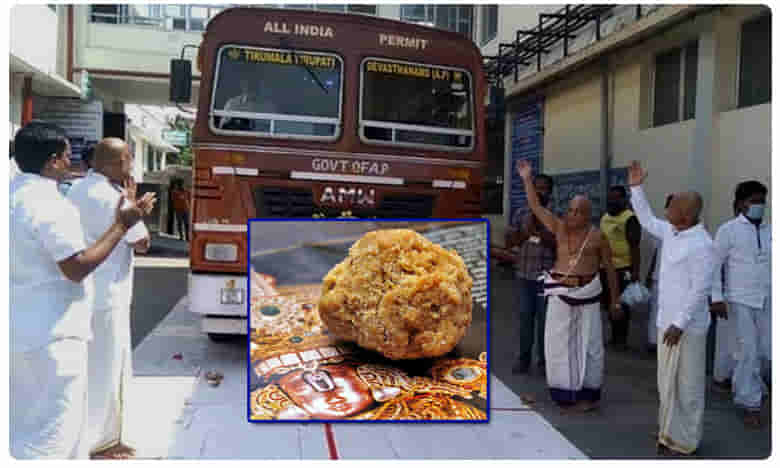 ఆ మూడు జిల్లాలకు శ్రీవారి లడ్డూలు..