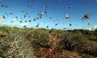 బెంగాల్‌కు వెయ్యి కోట్ల రూపాయల ప్యాకేజీ